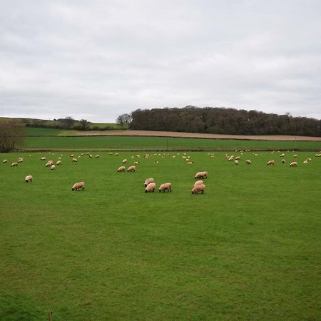 Bournestream Bed & Breakfast Withycombe Exterior foto