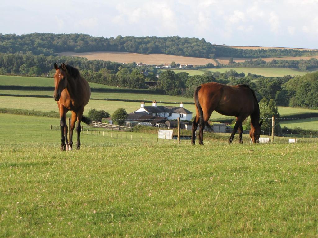 Bournestream Bed & Breakfast Withycombe Exterior foto
